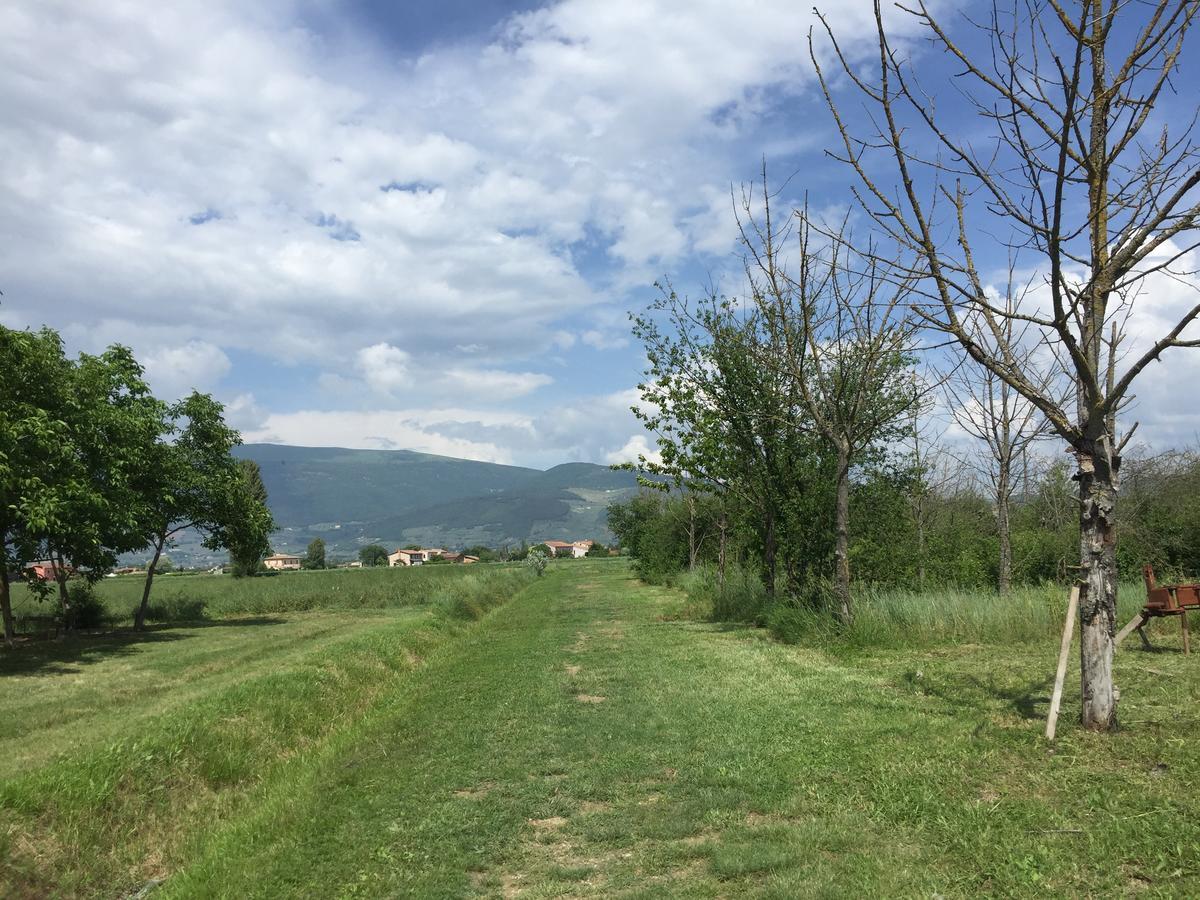 Vila Agriturismo La Semente Spello Exteriér fotografie